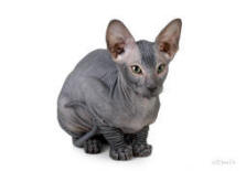 Увеличить !