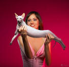 Увеличить !