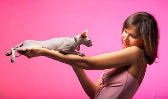 Увеличить !